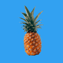 Pineapple GIF