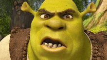 Shrek Shocked GIF - Shrek Shocked OhNo - Discover & Share GIFs