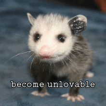 a picture of an opossum with the words become unlovable underneath it