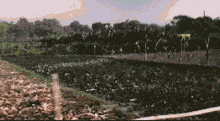 a painting of a field with a yellow sign that says ' agricultural '