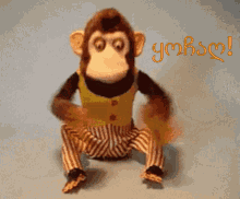 ყოჩაღ მაიმუნი GIF - ყოჩაღ მაიმუნი Ninisjgufi GIFs