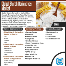 Global Starch Derivatives Market GIF - Global Starch Derivatives Market GIFs