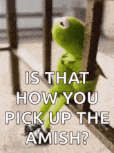 kermit the frog is sitting on a railing and asking how you pick up the amish ?
