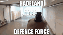 Mrrobinhx Hadeland GIF - Mrrobinhx Hadeland Shooting Range GIFs