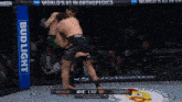two men are fighting in a cage with a bud light banner on the side