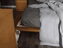 "The Bed Is Finally Mine!! You Fools Abandoned The Most Comfortabl-fuck" GIF - Bunnies GIFs
