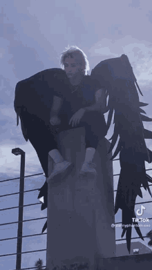 Black Wings Dannyphantomexe GIF