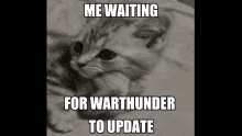 Cat Waiting GIF - Cat Waiting Warthunder GIFs