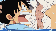 One Piece Strawhat Pirates GIF - One Piece Strawhat Pirates Strawhats GIFs