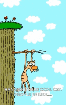 Hang Hang In There Kitty GIF