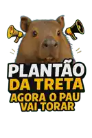 a picture of a capybara with the words plantao da treta agora o pau vai torar below it
