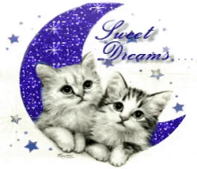 Cats Sweet Dreams GIF - Cats Sweet Dreams Kittens GIFs