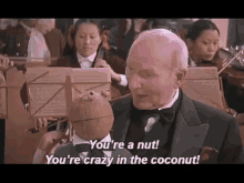 Crazy In The Coconut Coconut GIF - Crazy In The Coconut Coconut Crazy GIFs