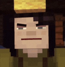 a minecraft character with a block on his head is making a funny face .