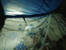 Cant Sleep Mosquito Net GIF