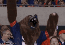 Chicago Bears Fans GIF - Chicago Bears Fans Excited GIFs