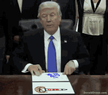 President Donald GIF - President Donald Trump GIFs