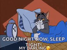 Lullaby Tom And Jerry GIF - Lullaby Tom And Jerry Cat GIFs