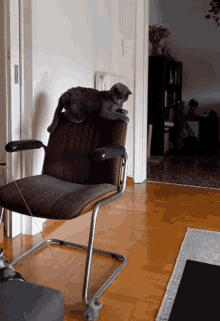a cat sitting on a chair in a living room