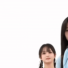 a woman in a blue shirt and necklace is smiling and looking at the camera on a white background .