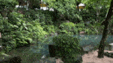 a small pond surrounded by trees and rocks in the middle of a lush green forest