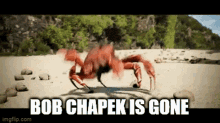 Bob Chapek Is Gone GIF - Bob Chapek Is Gone Crab Rave GIFs