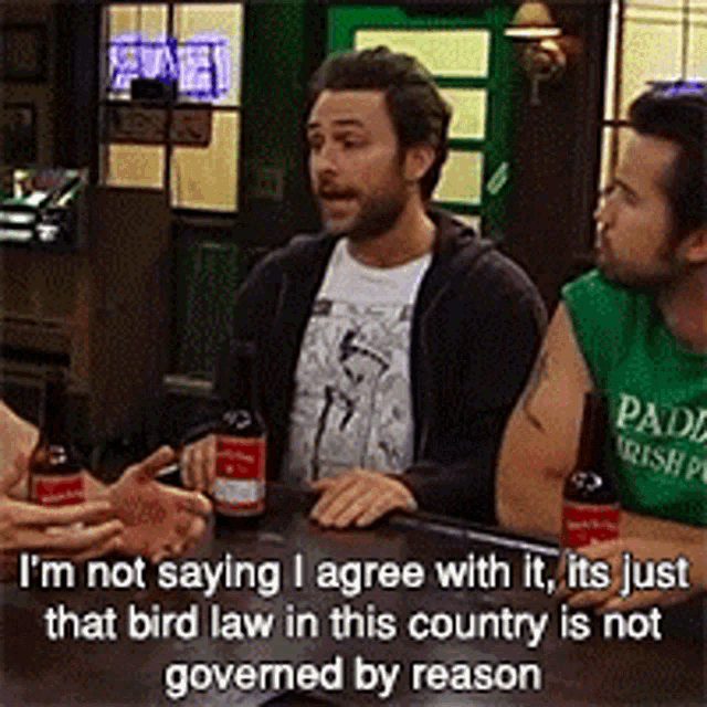 Bird Law Charlie Day GIF - Bird Law Charlie Day Kelly - Discover & Share GIFs