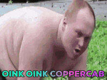 coppercab pic pig oink pig shit