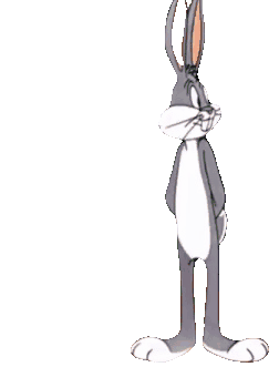 bunny transparent