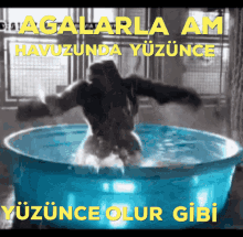 Gorilla Yüzerken GIF - Gorilla Goril Yüzerken GIFs