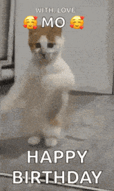 a cat is standing on its hind legs and saying happy birthday