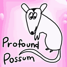 Profound Possum Veefriends GIF - Profound Possum Veefriends Wise GIFs