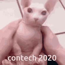 Contechs Contech2020 GIF - Contechs Contech2020 GIFs