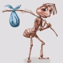 Jun Ant With Bag On A Stick Junhui Ant GIF
