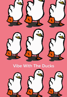 ducks vibes