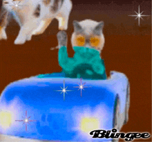 a painting of a cat driving a blue car with the word bungee on the bottom