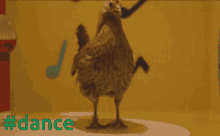 Dance Chicken GIF - Dance Chicken Cool GIFs