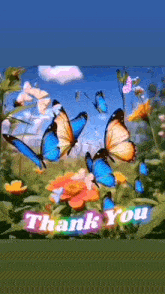a thank you card with butterflies flying over flowers