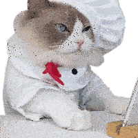 Watching Puff Sticker - Watching Puff Meow Chef Stickers