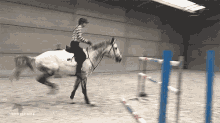 Heelsdown Equestrian GIF - Heelsdown Equestrian Jumper GIFs