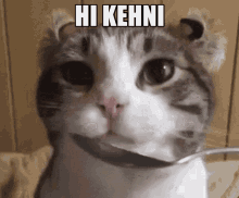 a cat is holding a spoon in its mouth and says hi kehni above it