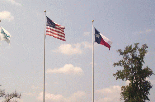 Lone Star GIF - Lone Star - Discover & Share GIFs