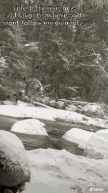 a black and white photo of a snowy river with a caption that says rule 1 there is bias and favoritism here