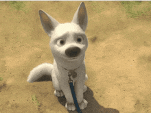 a white dog on a leash with a tag around its neck