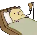 a hamster is laying in a hospital bed with an iv drip .