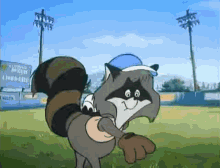 Melissas Pitch The Raccoons GIF - Melissas Pitch The Raccoons Kevin Gillis GIFs