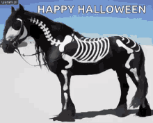 Happy Halloween GIF - Happy Halloween Horse GIFs