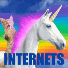 Internets Unicorn GIF - Internets Unicorn Funny GIFs