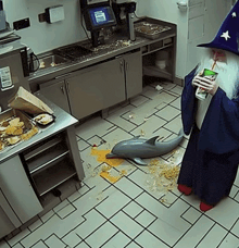 a man in a wizard costume stands in a kitchen next to a dolphin