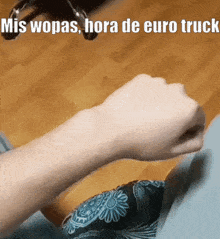 Hora De Euro Truck Mis Wopas GIF - Hora De Euro Truck Mis Wopas Wopas GIFs